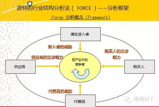 夏草財務(wù)分析深度解析 洞悉企業(yè)真實價值的必備指南
