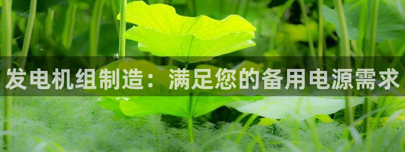 彩神是什么平台的游戏：发电机组制造：满足您的备用电源需求