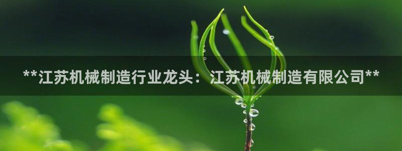 所有彩神购买首页中心：**江苏机械制造行业龙头：江苏机械制造