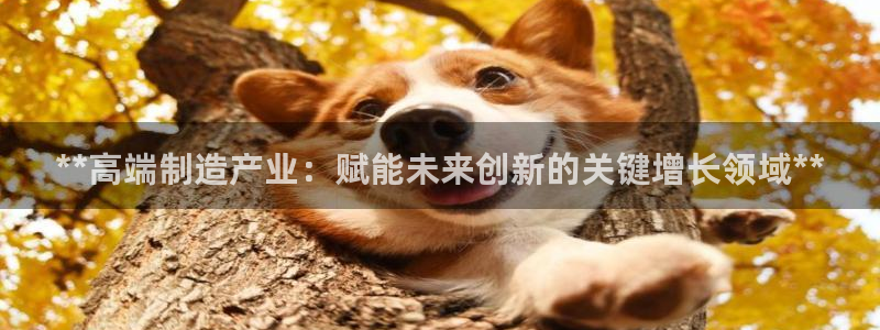 彩神v争霸是啥
