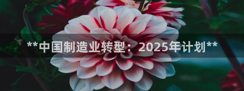 彩神是怎样一个平台：**中国制造业转型：2025年计划**