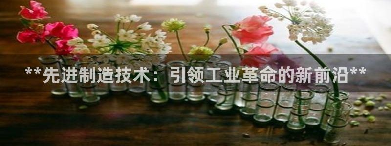 彩神通关注码金码对应码：**先进制造技术：引领工业革命的新前