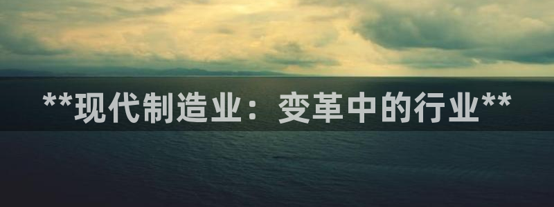 大发彩神争：**现代制造业：变革中的行业**