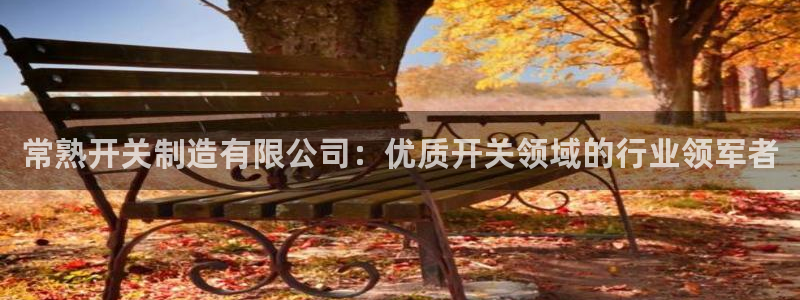 彩神官方登录：常熟开关制造有限公司：优质开关领域的行业领军者