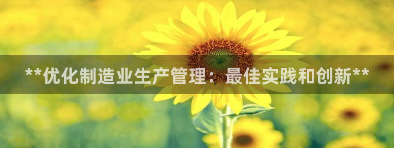 彩神vl购彩大厅：**优化制造业生产管理：最佳实践和创新**
