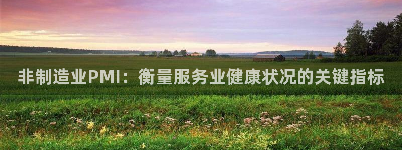 彩神iv真的能赚钱吗：非制造业PMI：衡量服务业健康状况的关键指标