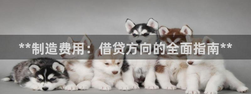 彩神vii购彩l心：**制造费用：借贷方向的全面指南**