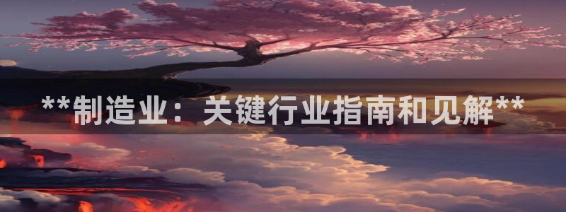 彩神v8有多久了?靠谱吗：**制造业：关键行业指南和见解**