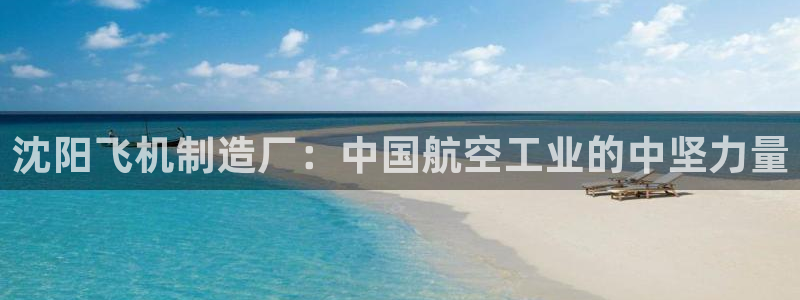 彩神ⅴll用户登录：沈阳飞机制造厂：中国航空工业的中坚力量