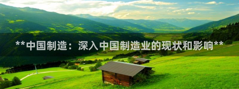 下载彩神乐发V1：**中国制造：深入中国制造业的现状和影响*