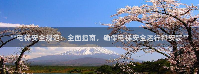 彩神大发黑平台：**电梯安全规范：全面指南，确保电梯安全运行和安装**