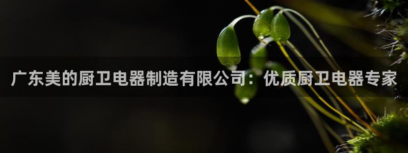 彩神旗下有哪些平台