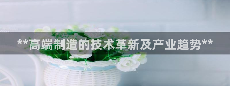 彩神ix官网：**高端制造的技术革新及产业趋势**