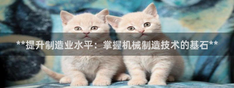 彩神8是正规平台吗