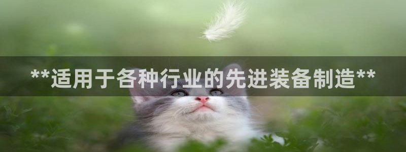 所有彩神购买首页中心