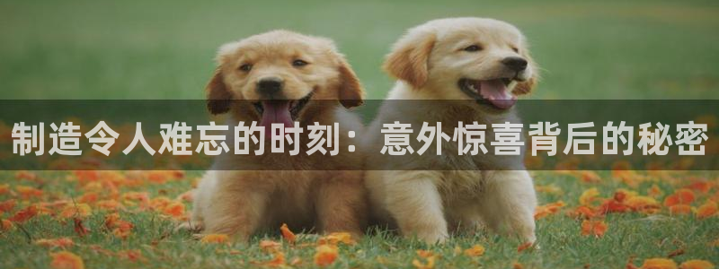 彩神ios下载