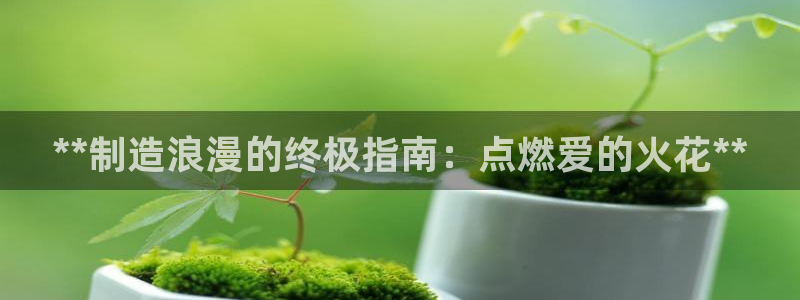 彩神app赚钱是真是假：**制造浪漫的终极指南：点燃爱的火花**