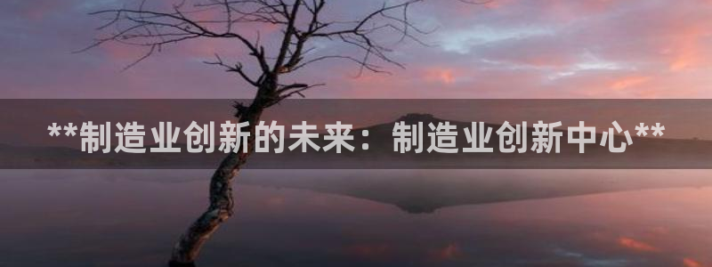彩神新微聊：**制造业创新的未来：制造业创新中心**