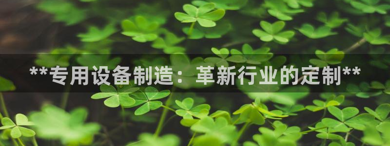 彩神x平台靠什么盈利：**专用设备制造：革新行业的定制**