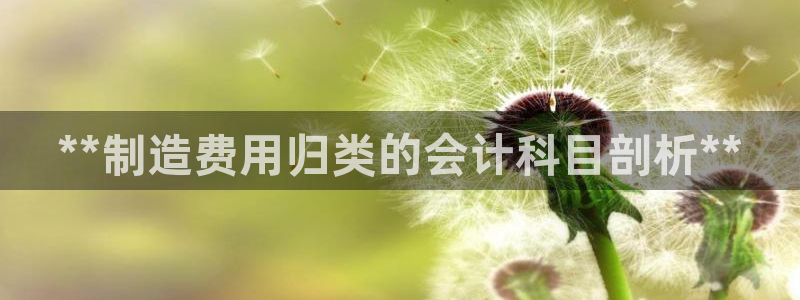 彩神购彩-购彩大厅入口计划群