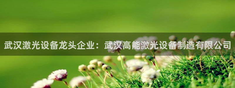 彩神vi争霸官网