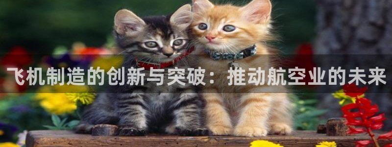 彩神系列平台：飞机制造的创新与突破：推动航空业的未来