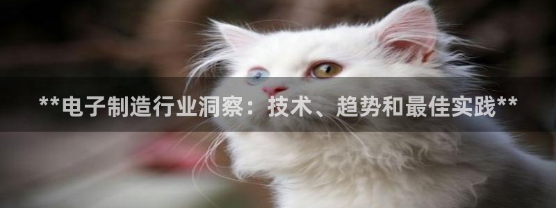 彩神是怎样一个平台