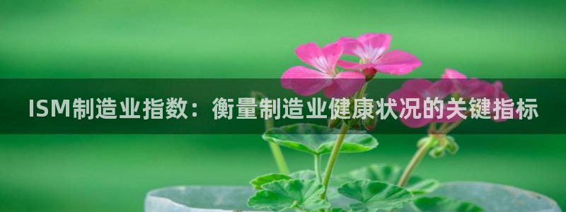 彩神这个平台是真的吗