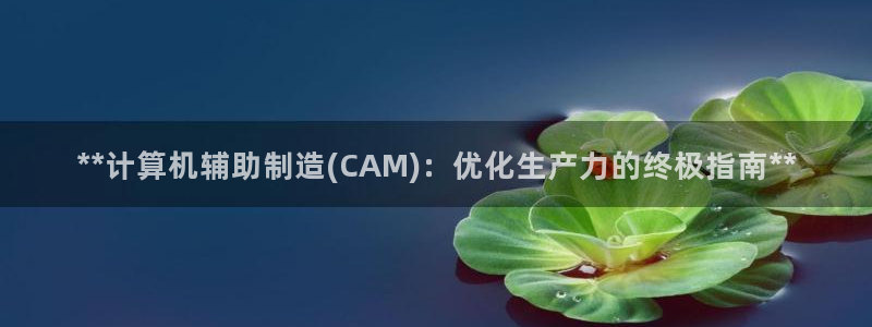 彩神是什么平台的游戏