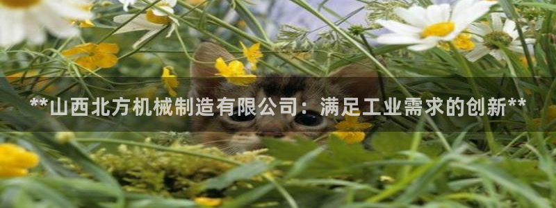 彩神争霸平台
