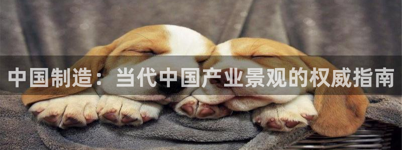 彩神v秘聊号码