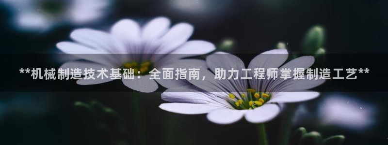 彩神v天天