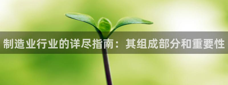 彩神网官网登录：制造业行业的详尽指南：其组成部分和重要性