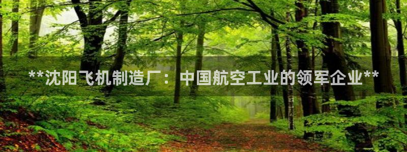 彩神vll购彩大厅大众：**沈阳飞机制造厂：中国航空工业的领军企业**