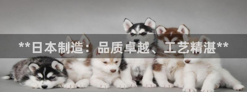 彩神是真的吗：**日本制造：品质卓越、工艺精湛**