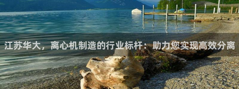 在彩神网输了六万多怎么拿回来：江苏华大，离心机制造的行业标杆：助力您实现高效分离