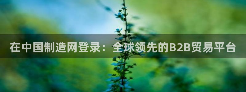 彩神vllⅰ购彩大厅：在中国制造网登录：全球领先的B2B贸易