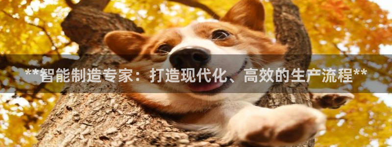 v彩神88iii：**智能制造专家：打造现代化、高效的生产流程**