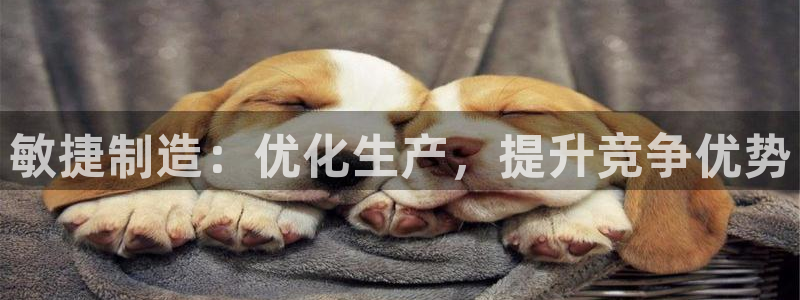 彩神ios下载：敏捷制造：优化生产，提升竞争优势