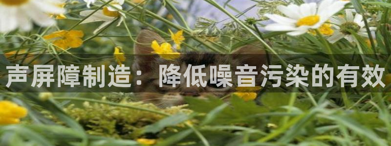 彩神v8手机客户端下载