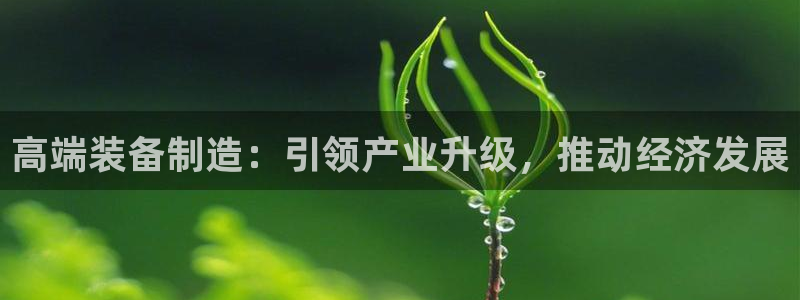 彩神v8首页