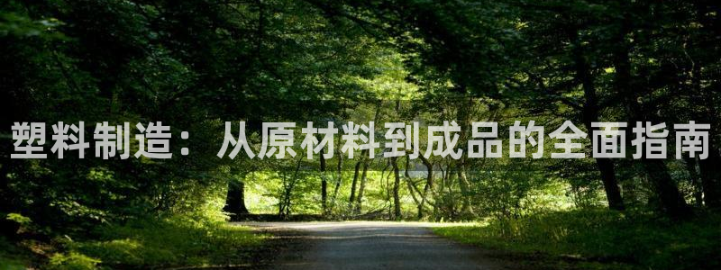 彩神团队是真的吗：塑料制造：从原材料到成品的全面指南