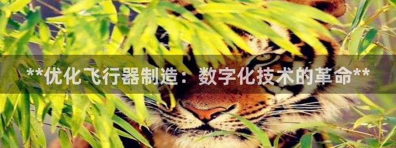 彩神ix是真的吗：**优化飞行器制造：数字化技术的革命**
