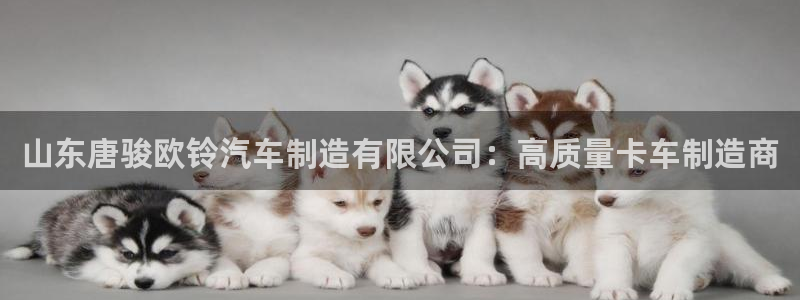 彩神iv真的能赚钱吗