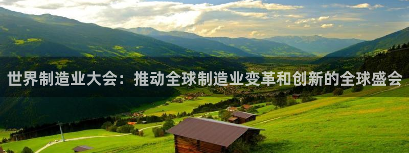 彩神网可以赚钱是真的吗：世界制造业大会：推动全球制造业变革和创新的全球盛会