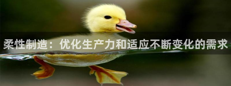 彩神网合法吗：柔性制造：优化生产力和适应不断变化的需求
