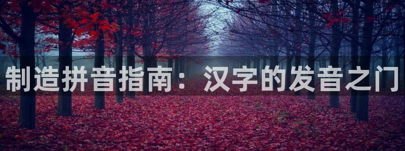 彩神V集团公司：制造拼音指南：汉字的发音之门