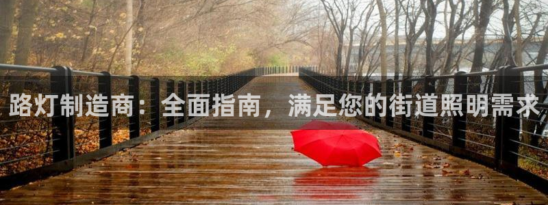 彩神争霸官方下载2017：路灯制造商：全面指南，满足您的街道照明需求