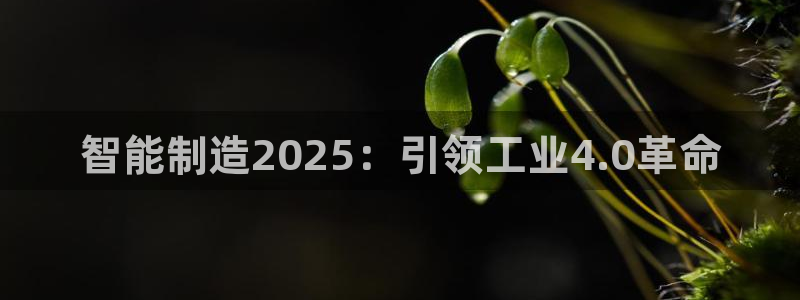 彩神8是正规平台吗：智能制造2025：引领工业4.0革命