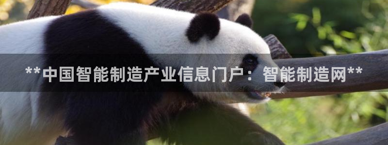 彩神vlll(中国)百度百科：**中国智能制造产业信息门户：